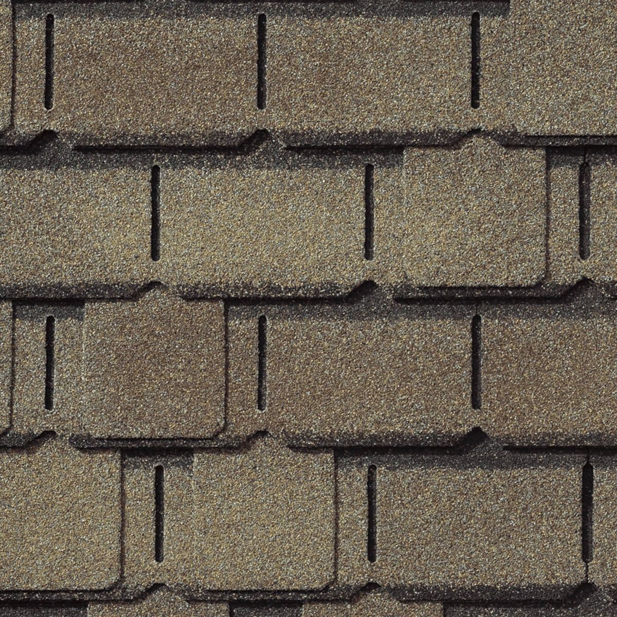Rooster Exteriors Images