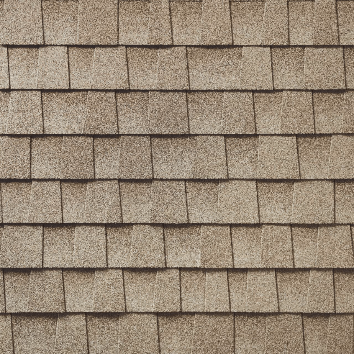 Rooster Exteriors Images