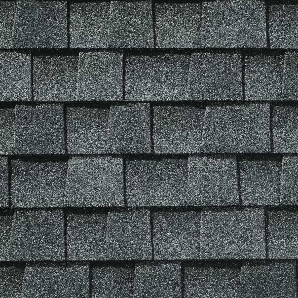Rooster Exteriors Images