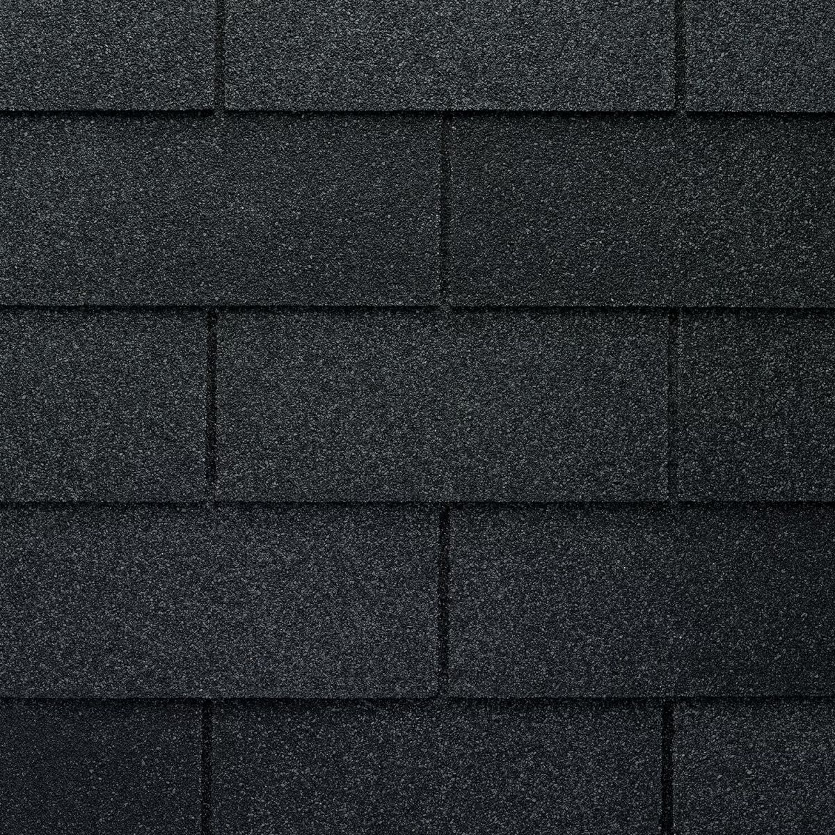 Rooster Exteriors Images