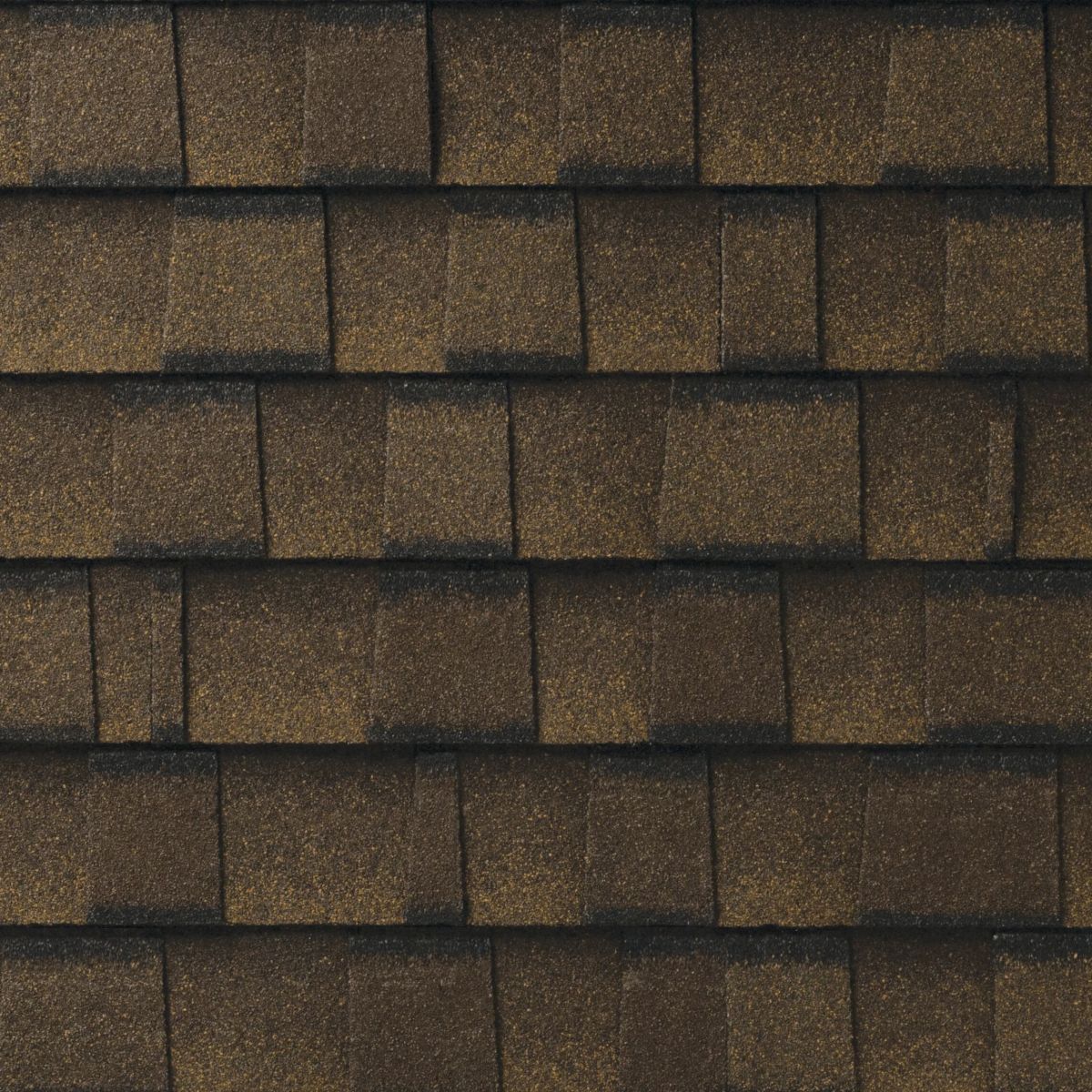 Rooster Exteriors Images