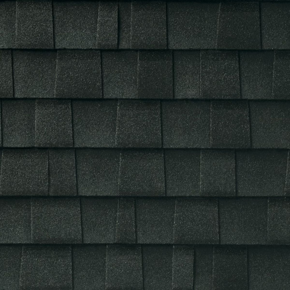 Rooster Exteriors Images