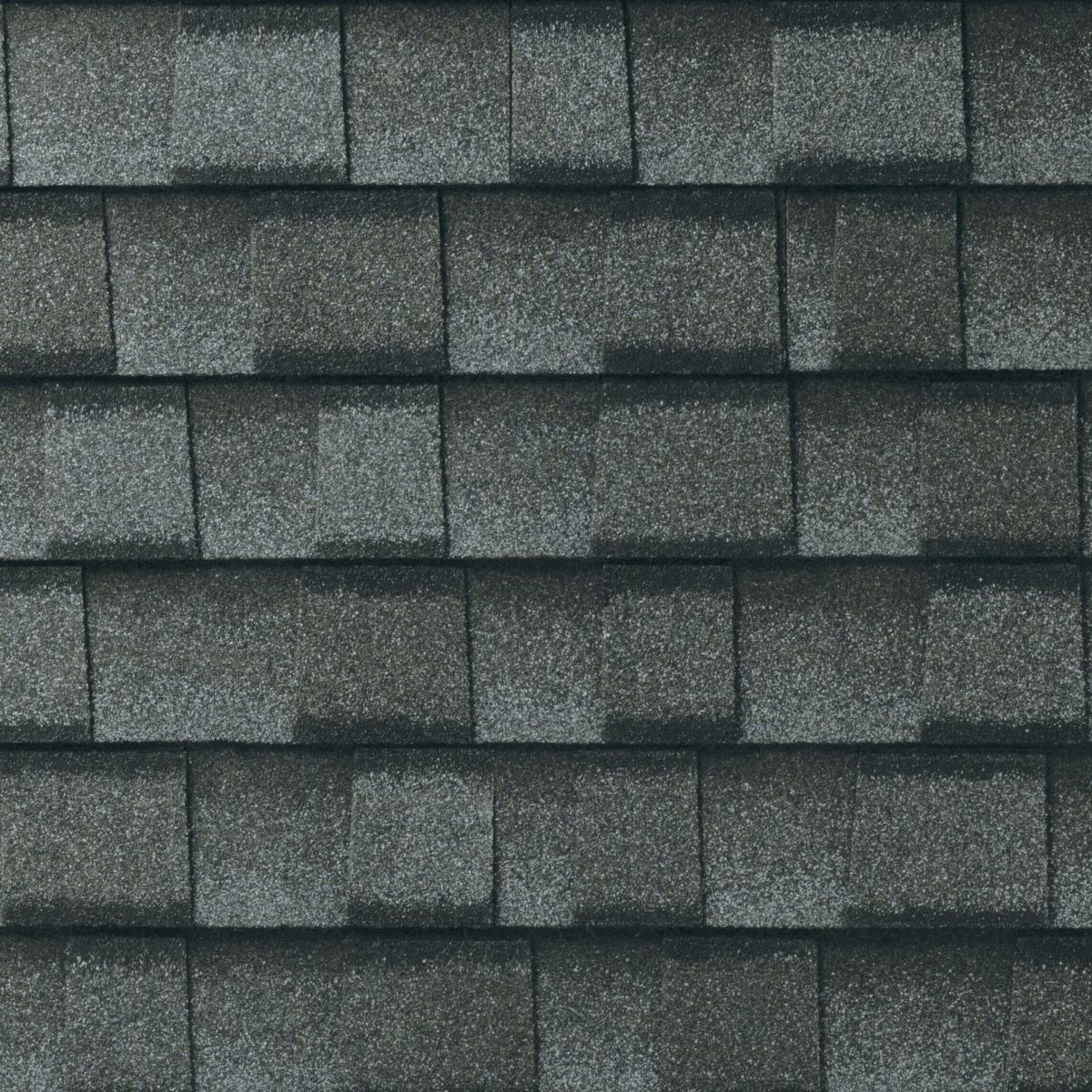 Rooster Exteriors Images