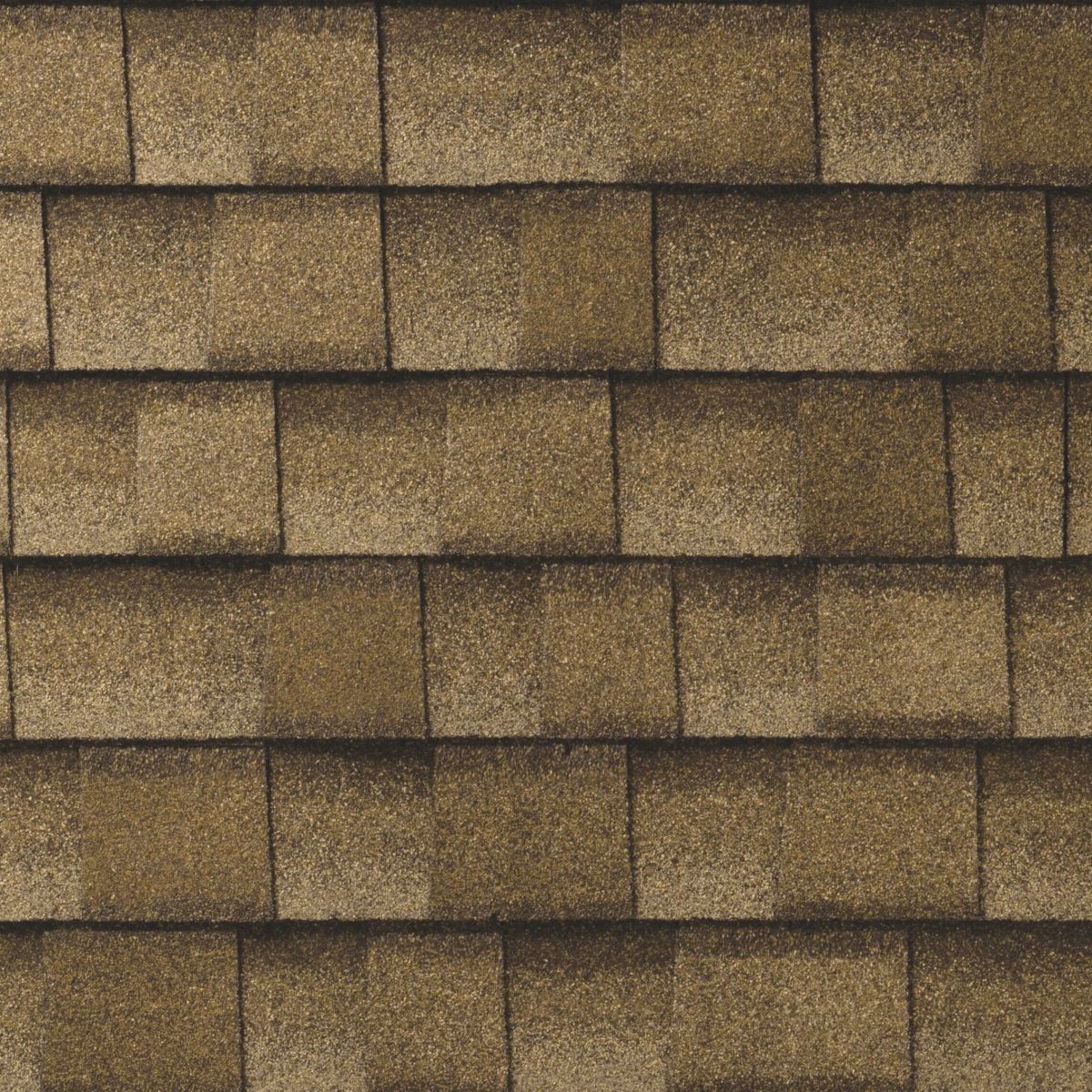 Rooster Exteriors Images
