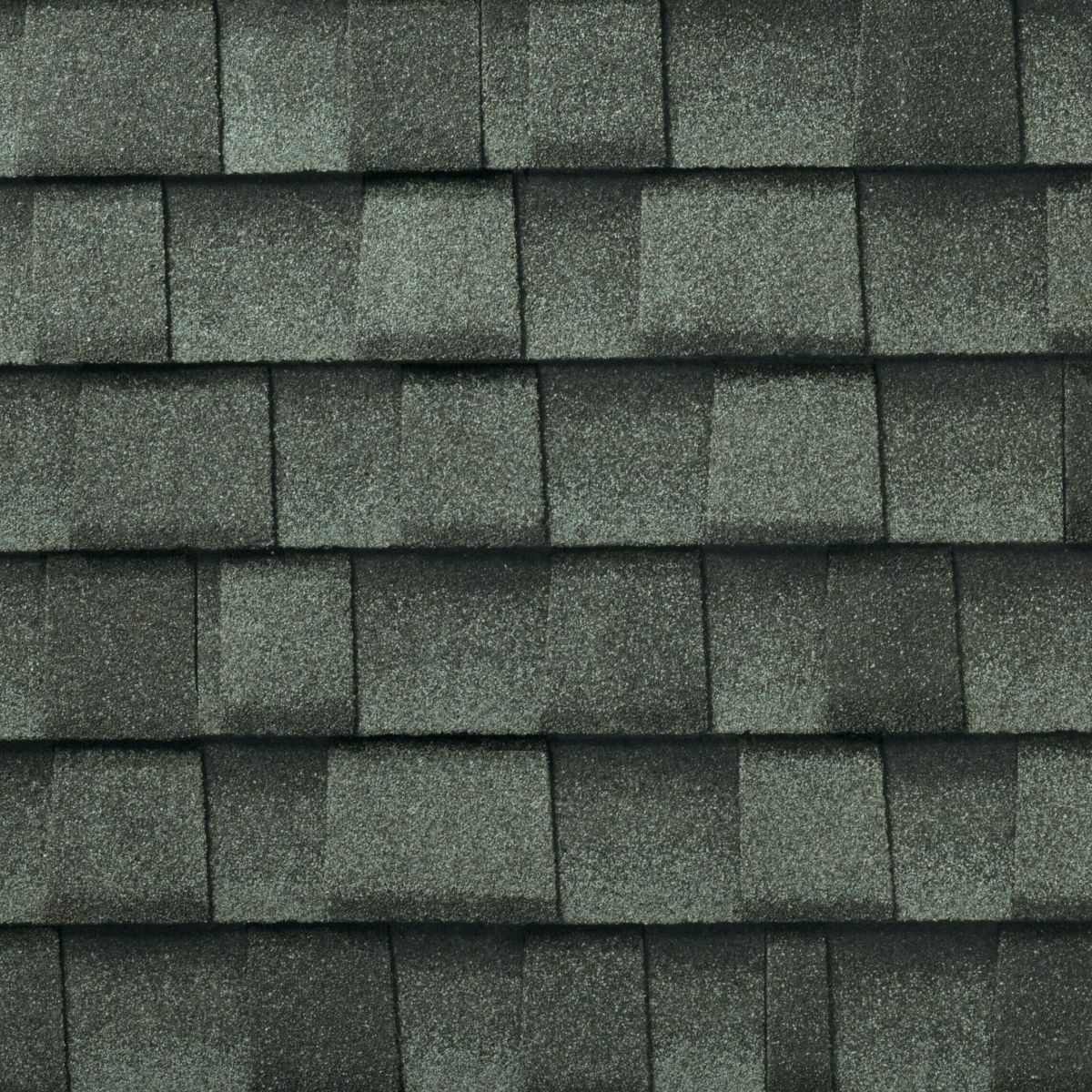 Rooster Exteriors Images