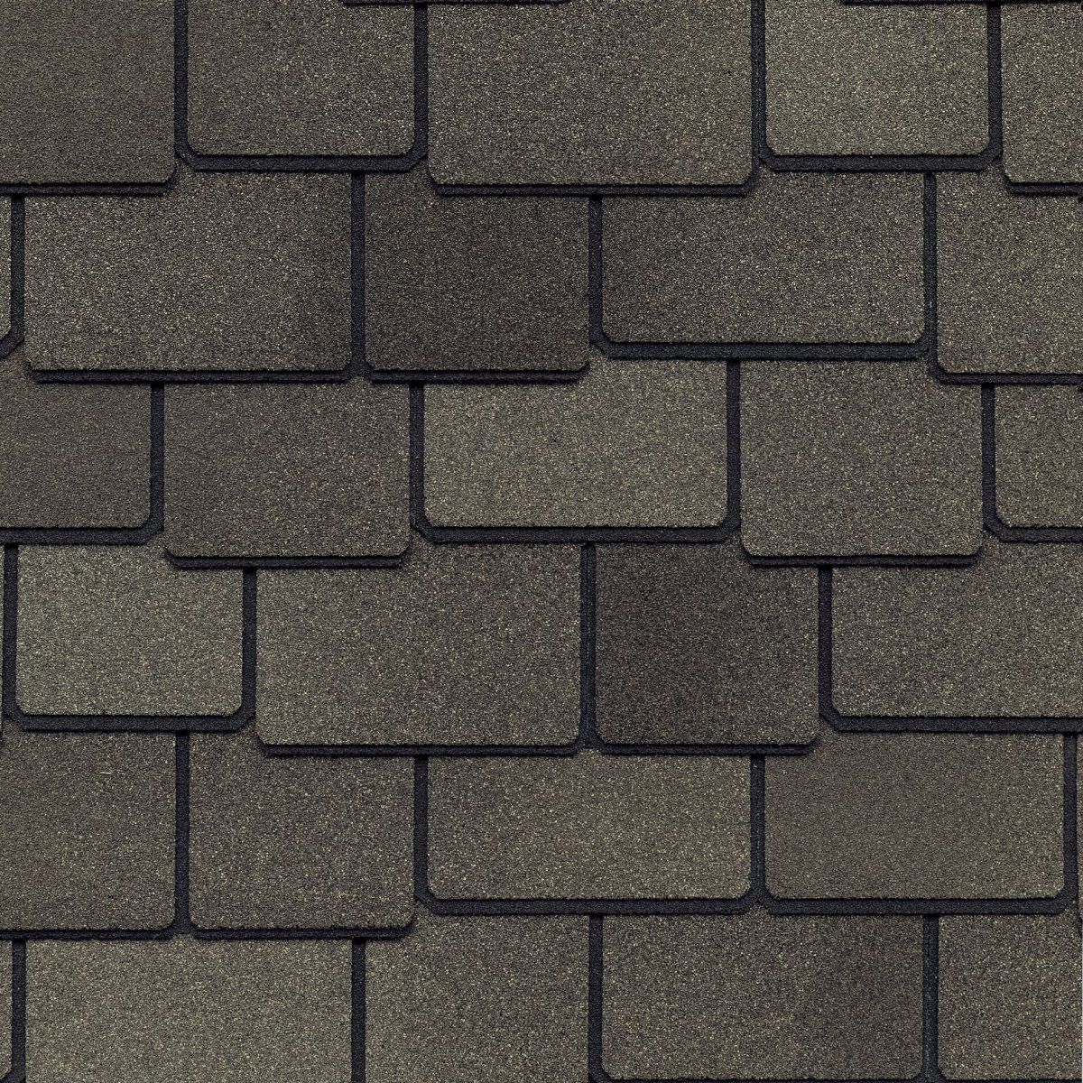 Rooster Exteriors Images
