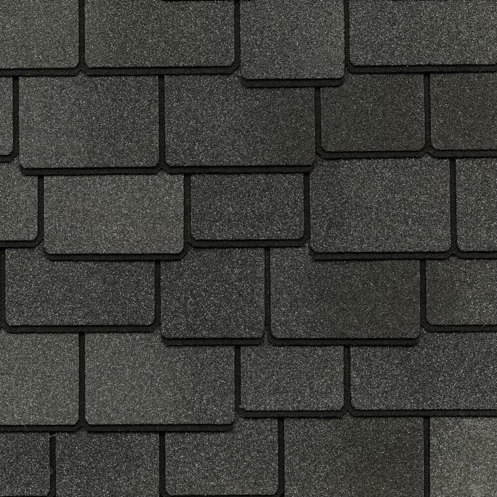 Rooster Exteriors Images
