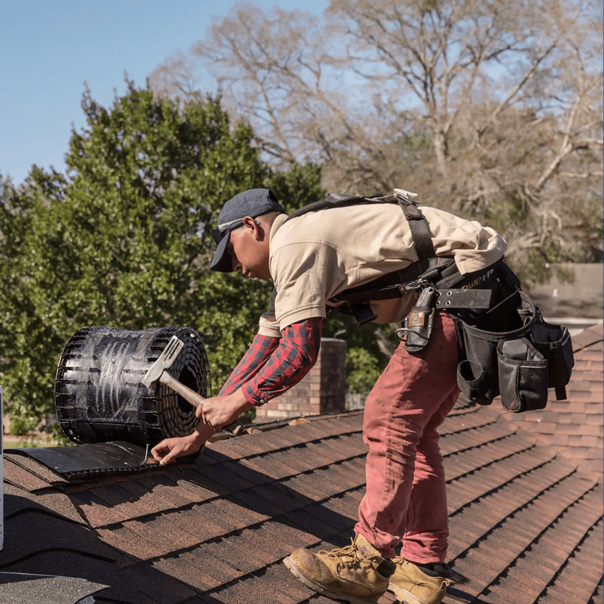 Rooster Exteriors Images